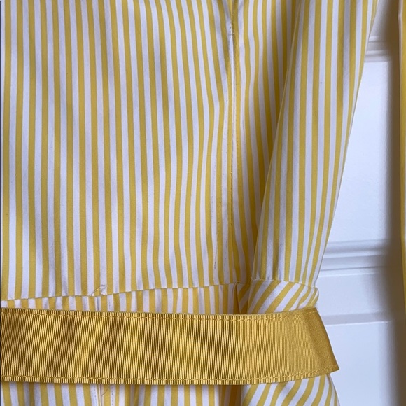 Ralph Lauren Striped Shirt Dress - Picture 12 of 15
